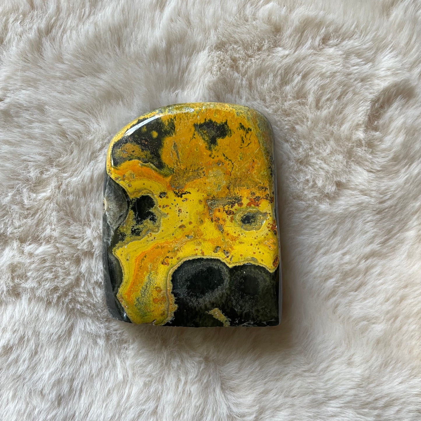 Bumblebee Jasper Freeform