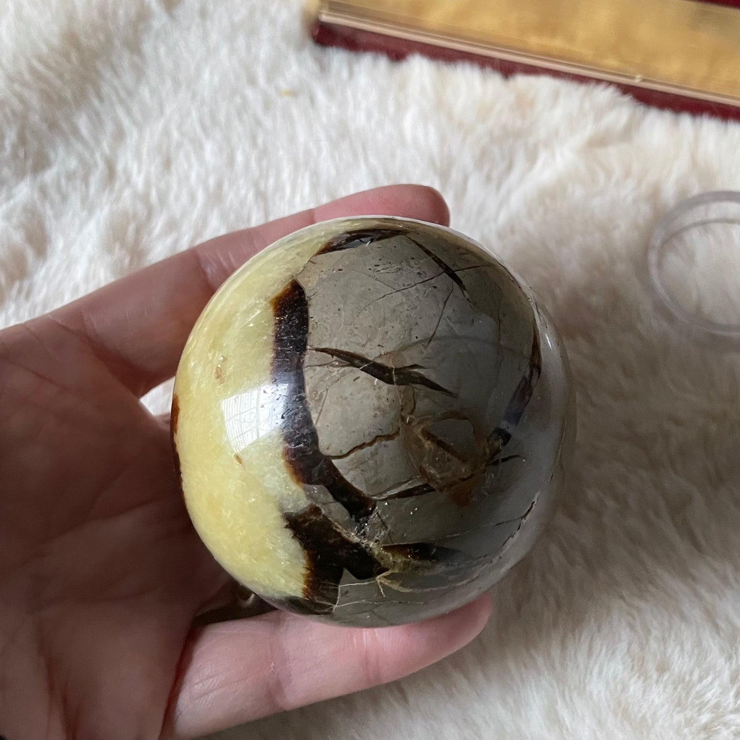 Septarian Sphere