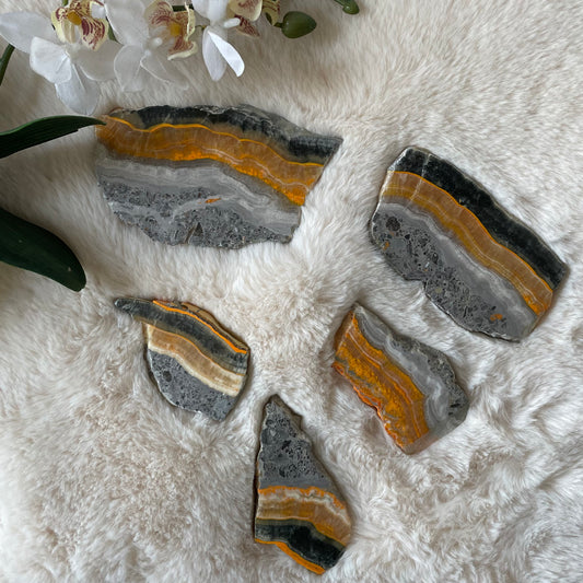 Natural Bumblebee Jasper Slab