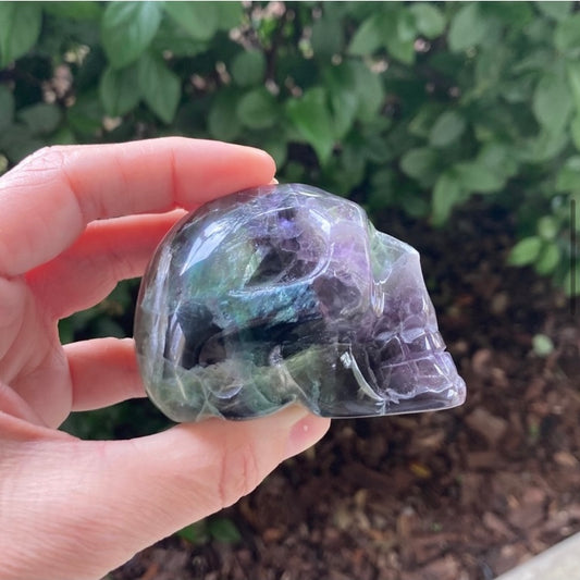 Fluorite Skull - Executive Gypsy