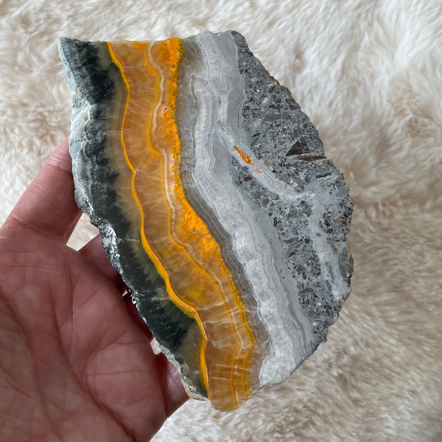 Natural Bumblebee Jasper Slab - Executive Gypsy